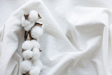 Sustainability in the Textile Industry: Recyclable and Organic Products