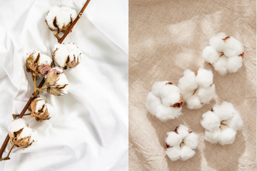 What Are the Differences Between Cotton and Linen Sheets?